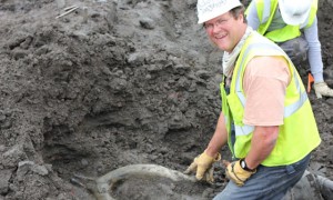 National Museum of Natural History director Kirk Johnson, digging for mastodon bones in Colorado.